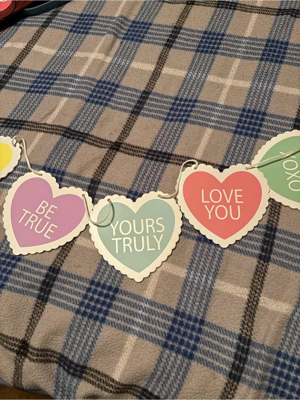 Party Heart Message Banner Garland - Pastel Multi-Color